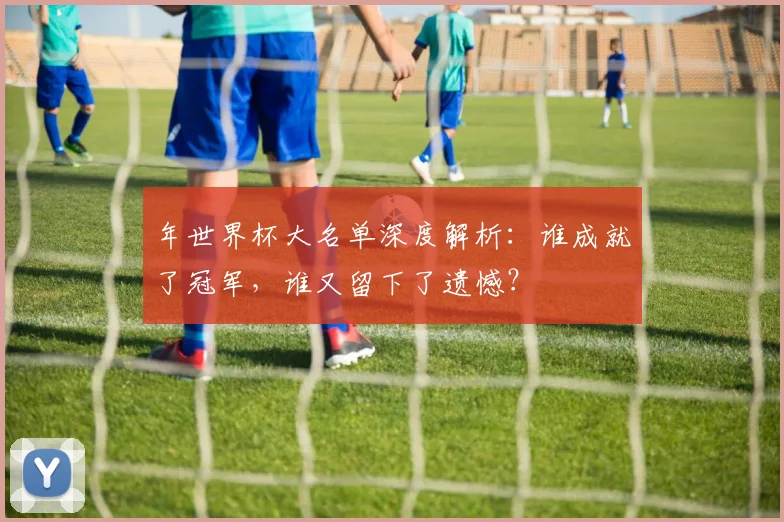 年世界杯大名单深度解析：谁成就了冠军，谁又留下了遗憾？