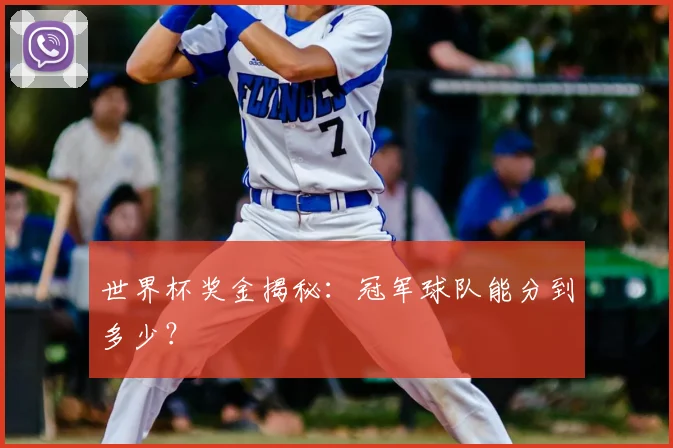 世界杯奖金揭秘：冠军球队能分到多少？