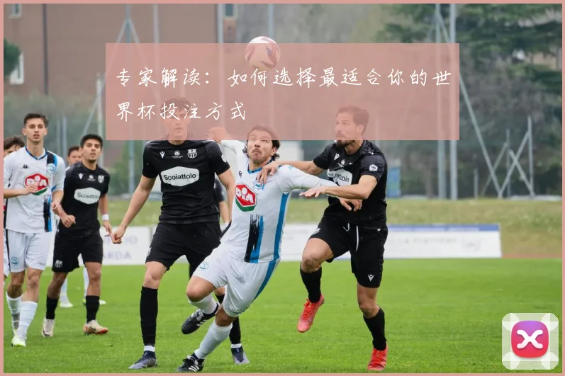 专家解读：如何选择最适合你的世界杯投注方式