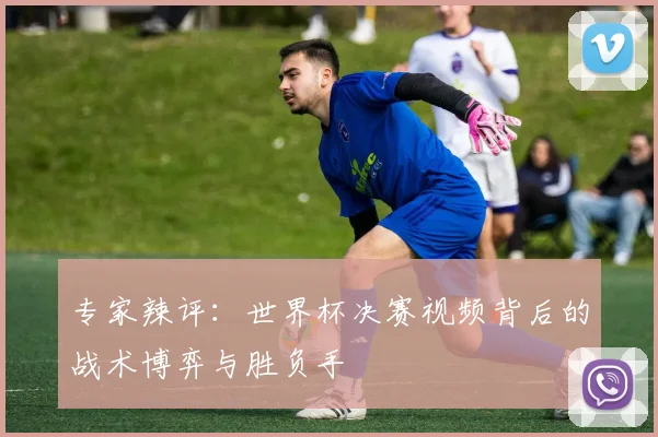 专家辣评：世界杯决赛视频背后的战术博弈与胜负手