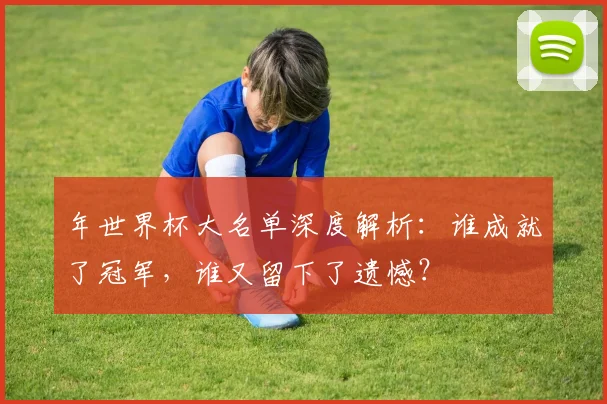 年世界杯大名单深度解析：谁成就了冠军，谁又留下了遗憾？