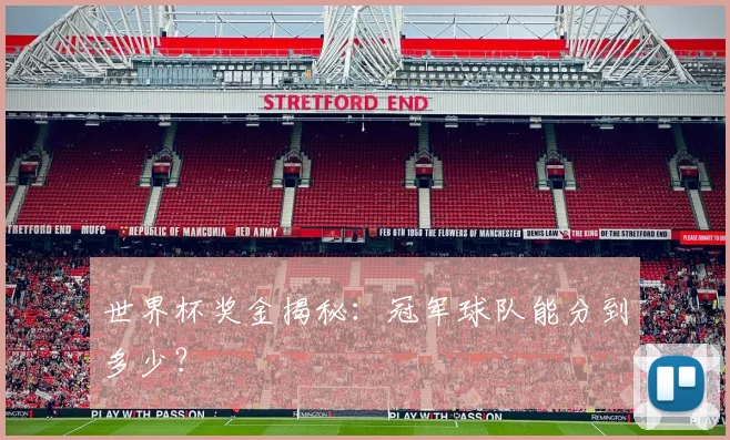 世界杯奖金揭秘:冠军球队能分到多少?