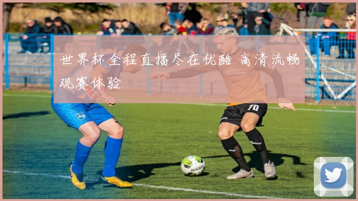 世界杯全程直播尽在优酷 高清流畅观赛体验