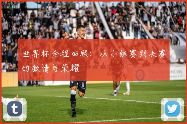 世界杯全程回顾:从小组赛到决赛的激情与荣耀