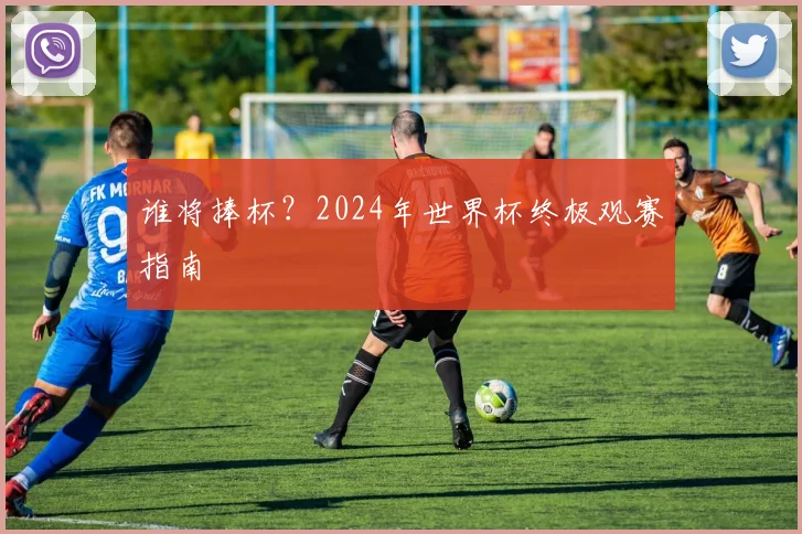 谁将捧杯?2024年世界杯终极观赛指南