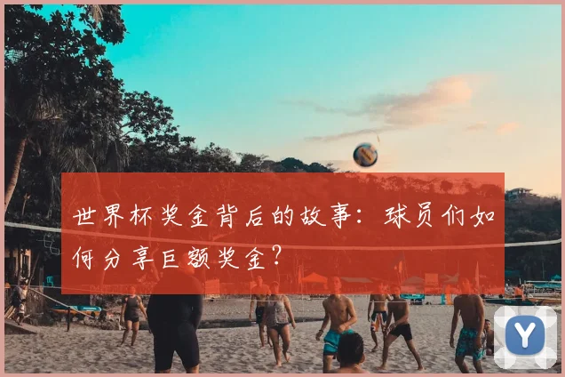 世界杯奖金背后的故事:球员们如何分享巨额奖金?