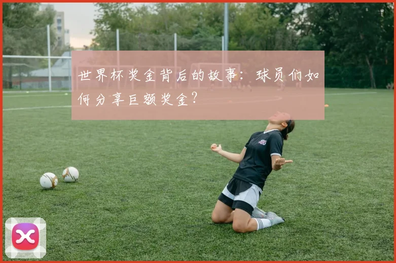 世界杯奖金背后的故事:球员们如何分享巨额奖金?