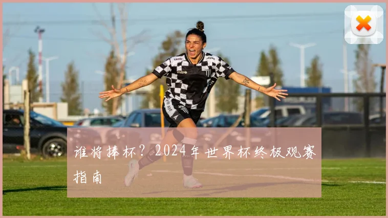 谁将捧杯？2024年世界杯终极观赛指南