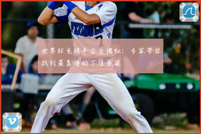 世界杯竞猜平台全揭秘：专家带你找到最靠谱的下注渠道