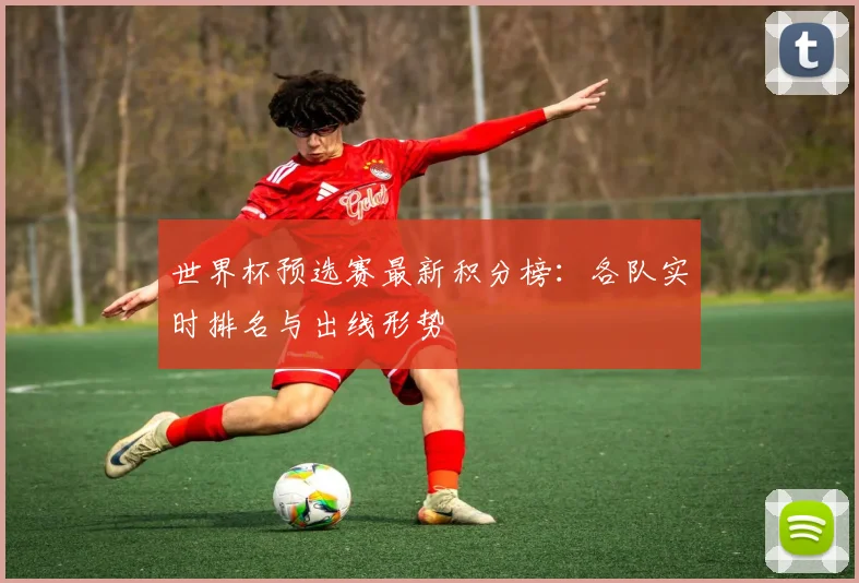 世界杯预选赛最新积分榜:各队实时排名与出线形势