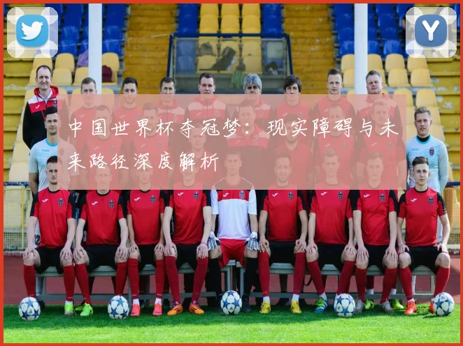 中国世界杯夺冠梦：现实障碍与未来路径深度解析