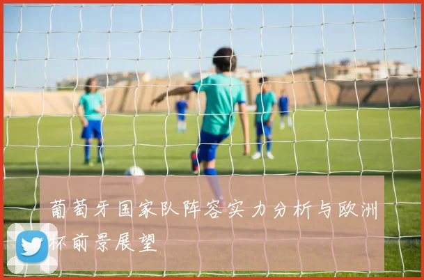 葡萄牙国家队阵容实力分析与欧洲杯前景展望