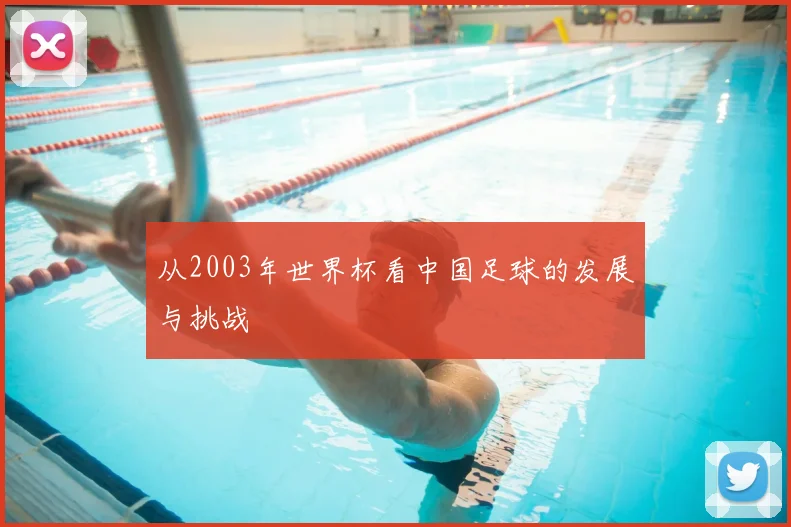 从2003年世界杯看中国足球的发展与挑战