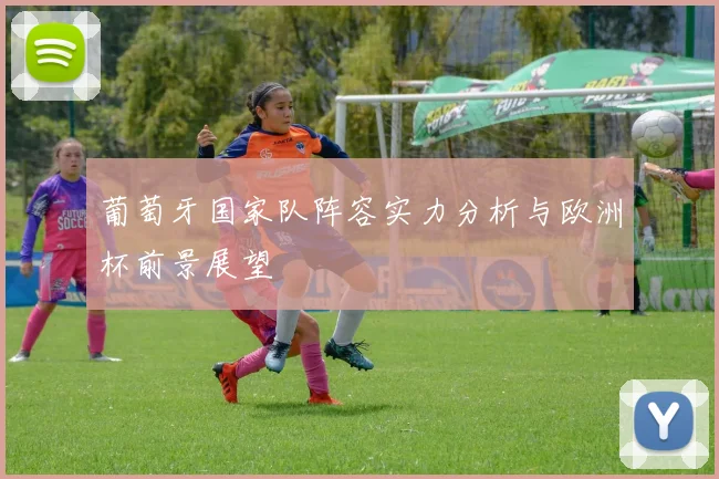 葡萄牙国家队阵容实力分析与欧洲杯前景展望