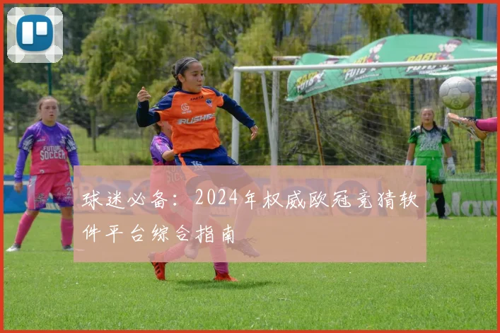 球迷必备:2024年权威欧冠竞猜软件平台综合指南