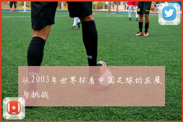 从2003年世界杯看中国足球的发展与挑战