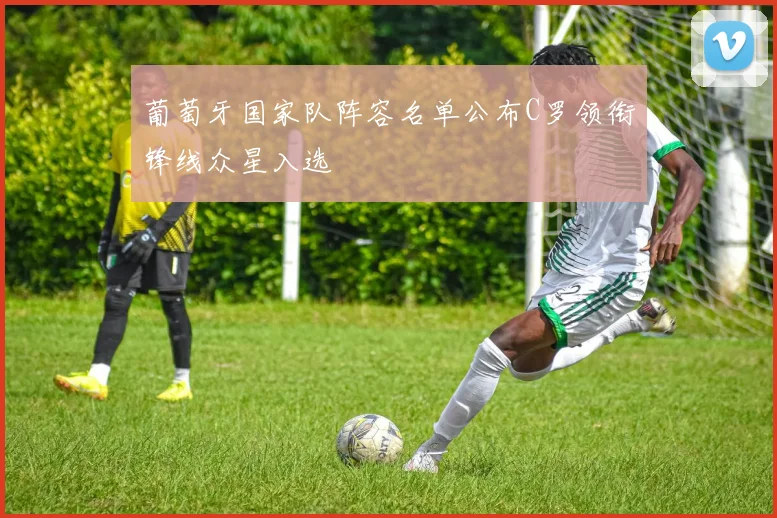 葡萄牙国家队阵容名单公布C罗领衔锋线众星入选